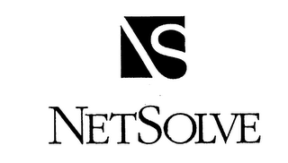 NETSOLVE NS logo