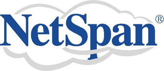 NETSPAN logo
