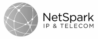 NETSPARK IP & TELECOM logo