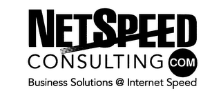 NETSPEED CONSULTING COM BUSINESS SOLUTIONS @ INTERNET SPEED logo