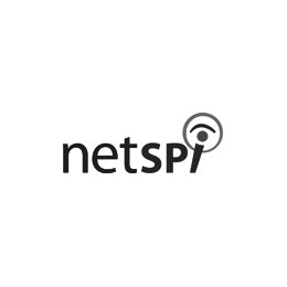 NETSPI logo