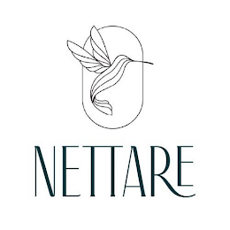 NETTARE logo