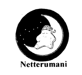 NETTERUMANI logo
