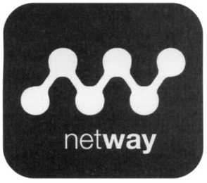 NETWAY logo