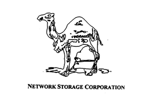 NETWORK STORAGE CORPORATION logo