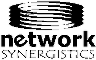 NETWORK SYNERGISTICS logo