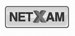 NETXAM logo