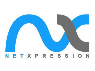 NETXPRESSION logo