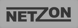 NETZON logo