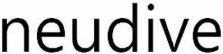NEUDIVE logo