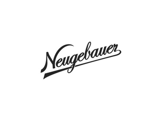 NEUGEBAUER logo