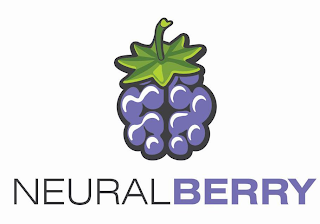 NEURALBERRY logo