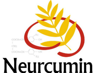 NEURCUMIN COCH=CH R1 0H CH2 COCH=CH OH R2 logo