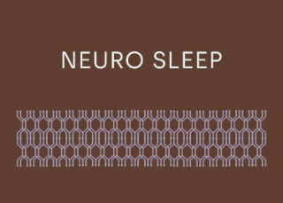 NEURO SLEEP logo