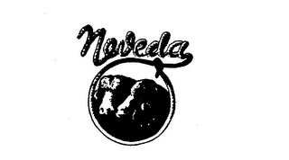 NEVEDA logo