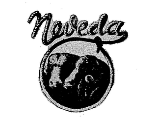 NEVEDA logo