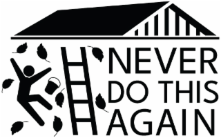 NEVER DO THIS AGAIN logo