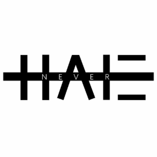 NEVER HATE logo