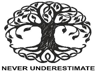 NEVER UNDERESTIMATE logo
