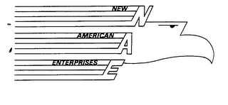 NEW AMERICAN ENTERPRISES NAE logo