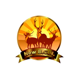 NEW B.C.N. logo