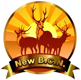 NEW B.C.N. logo