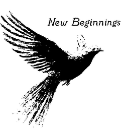 NEW BEGINNINGS HAIR DESIGN logo