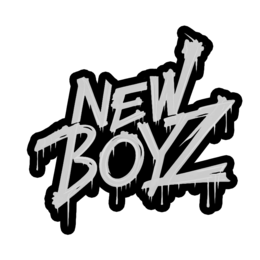 NEW BOYZ logo