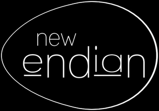 NEW ENDIAN logo