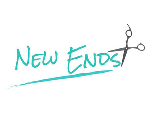 NEW ENDS logo