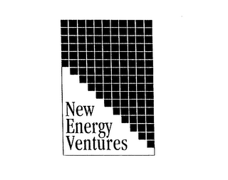 NEW ENERGY VENTURES logo