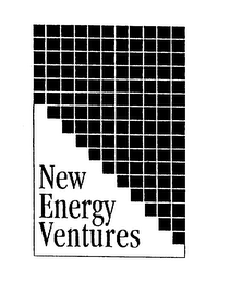 NEW ENERGY VENTURES logo