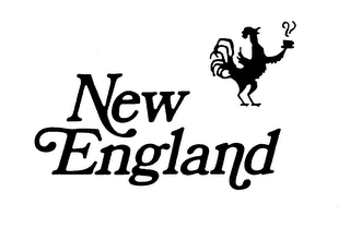 NEW ENGLAND logo