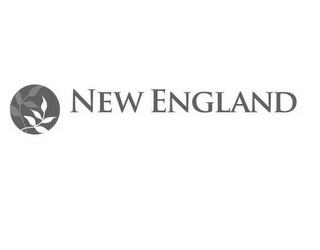 NEW ENGLAND logo