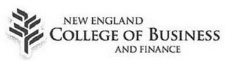 NEW ENGLAND COLLEGE OF BUSINESS AND FINANCE logo