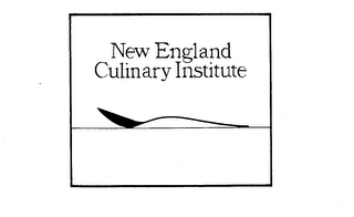 NEW ENGLAND CULINARY INSTITUTE logo