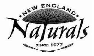 NEW ENGLAND NATURALS SINCE 1977 logo