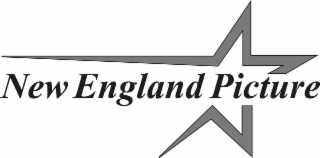 NEW ENGLAND PICTURE logo