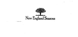 NEW ENGLAND SEASONS logo