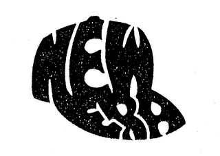 NEW ERA logo