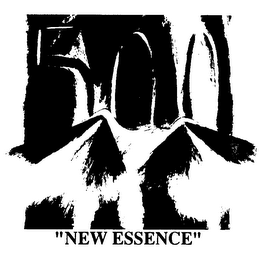 "NEW ESSENCE" 500 logo
