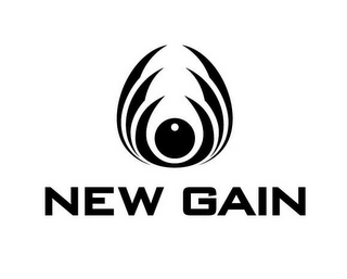 NEW GAIN logo