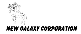 NEW GALAXY CORPORATION logo
