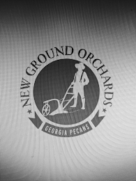 NEW GROUND ORCHARDS GEORGIA PECANS logo