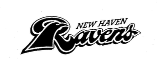 NEW HAVEN RAVENS logo