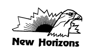 NEW HORIZONS logo