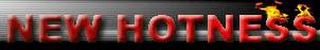 NEW HOTNESS logo