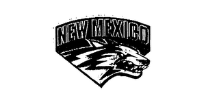 NEW MEXICO logo