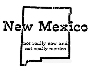 NEW MEXICO NOT REALLY NEW AND NOT REALLY MEXICO logo