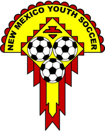 NEW MEXICO YOUTH SOCCER logo